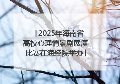 2025年海南省高校心理情景剧展演比赛在海经院举办