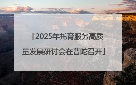 2025年托育服务高质量发展研讨会在普陀召开