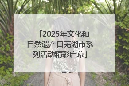 2025年文化和自然遗产日芜湖市系列活动精彩启幕