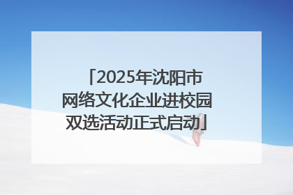 2025年沈阳市网络文化企业进校园双选活动正式启动