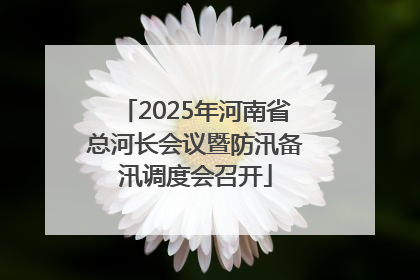2025年河南省总河长会议暨防汛备汛调度会召开