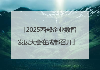 2025西部企业数智发展大会在成都召开