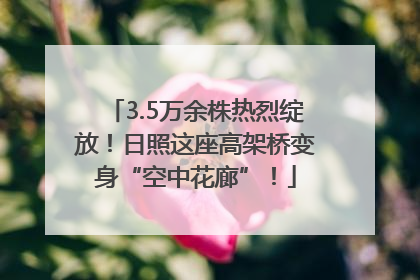3.5万余株热烈绽放！日照这座高架桥变身“空中花廊”！