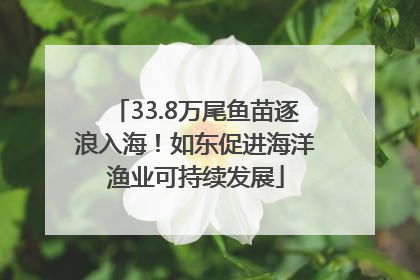 33.8万尾鱼苗逐浪入海！如东促进海洋渔业可持续发展