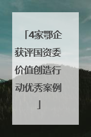 4家鄂企获评国资委价值创造行动优秀案例