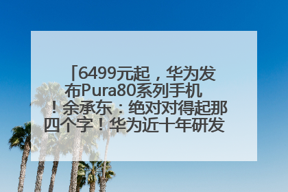 6499元起，华为发布Pura80系列手机！余承东：绝对对得起那四个字！华为近十年研发投入12490亿元