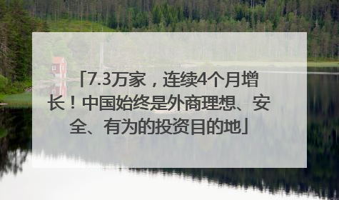 7.3万家，连续4个月增长！中国始终是外商理想、安全、有为的投资目的地
