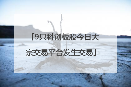 9只科创板股今日大宗交易平台发生交易