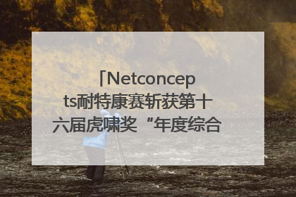 Netconcepts耐特康赛斩获第十六届虎啸奖“年度综合服务商”大奖